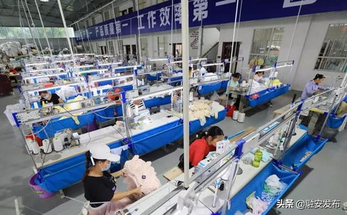 山海呼應 一竹一企一園 帶動群眾增收脫貧